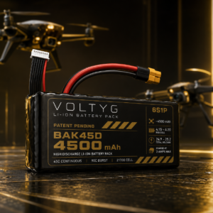 Voltyg 6S1P BAK45D Li-Ion Battery Pack